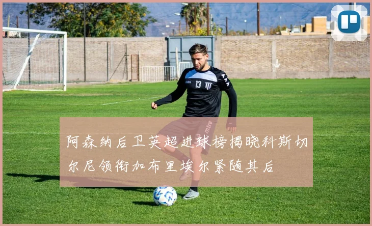 阿森纳后卫英超进球榜揭晓科斯切尔尼领衔加布里埃尔紧随其后