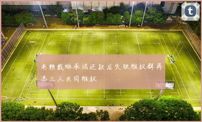 老赖戴琳承诺还款后失联维权群再添三人共同维权