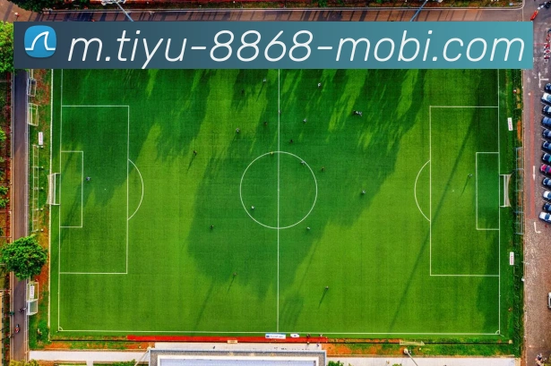 8868体育APP 高清赛事图